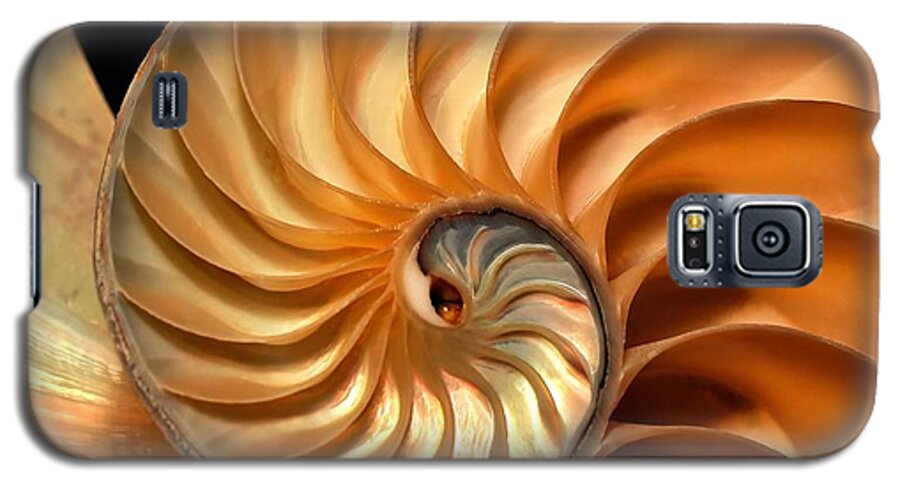 Balance Galaxy S5 Case featuring the photograph Brilliant Nautilus by Phil Cardamone