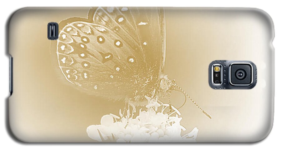 I Dreamt I Was A Butterfly Galaxy S5 Case featuring the photograph Butterfly by John Emmett