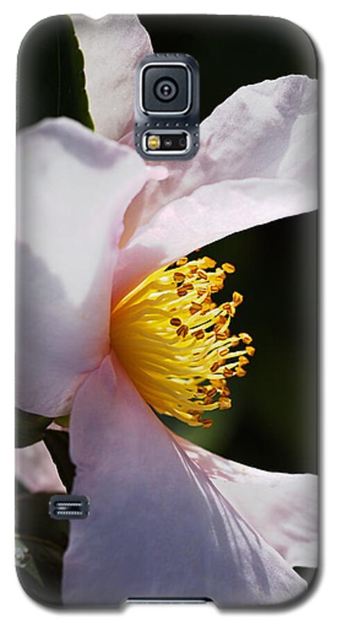 Ericales Galaxy S5 Case featuring the photograph Camellia Her Side Profile by Joy Watson