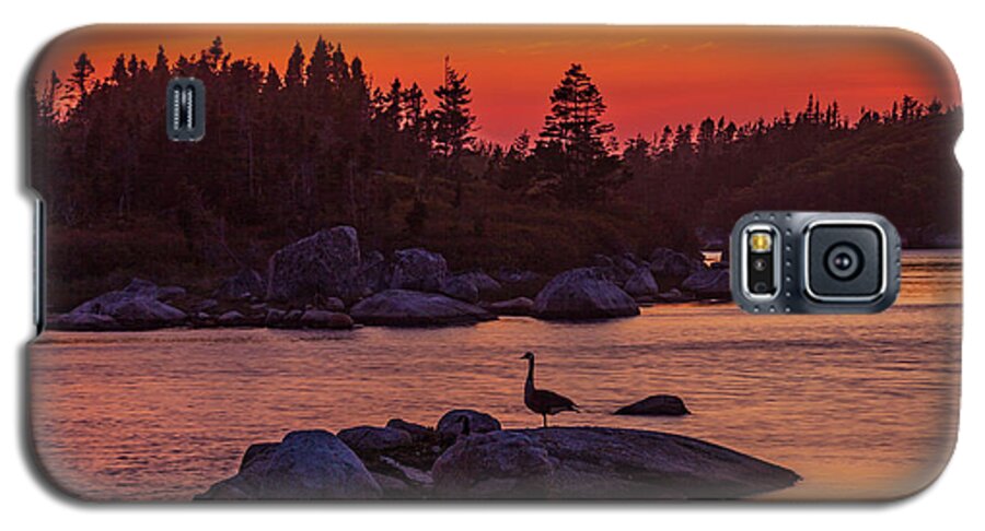 Sunset Galaxy S5 Case featuring the photograph Canada Geese At Sunset by Irwin Barrett