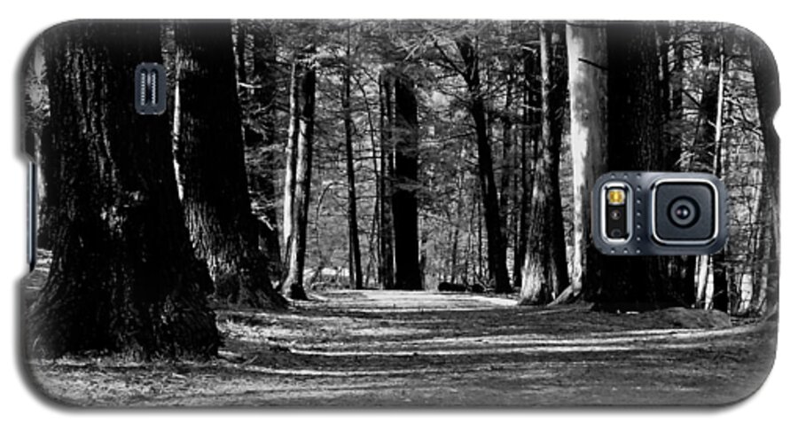 - College Woods - Durham Nh Galaxy S5 Case featuring the photograph - College Woods - Durham NH by THERESA Nye