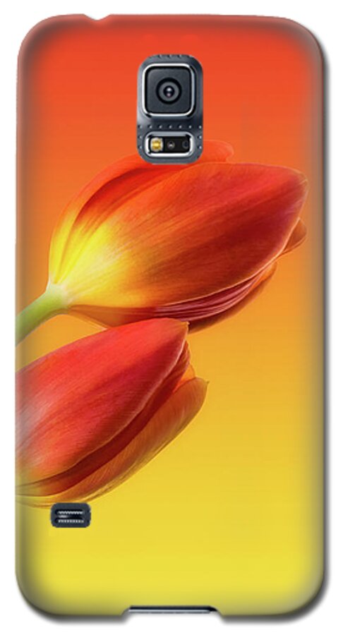 #faatoppicks Galaxy S5 Case featuring the photograph Colorful Tulips by Wim Lanclus