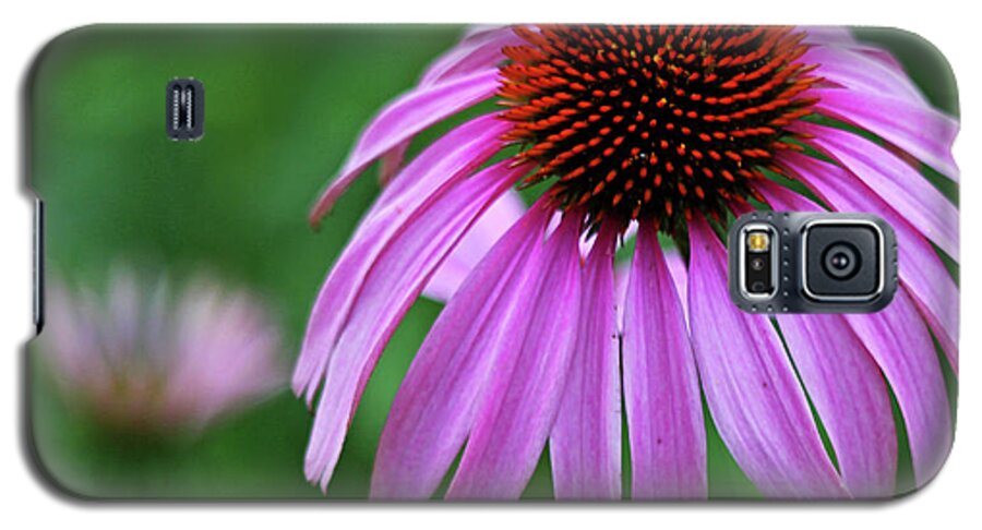 Flower Galaxy S5 Case featuring the photograph Coneflower by Judy Vincent