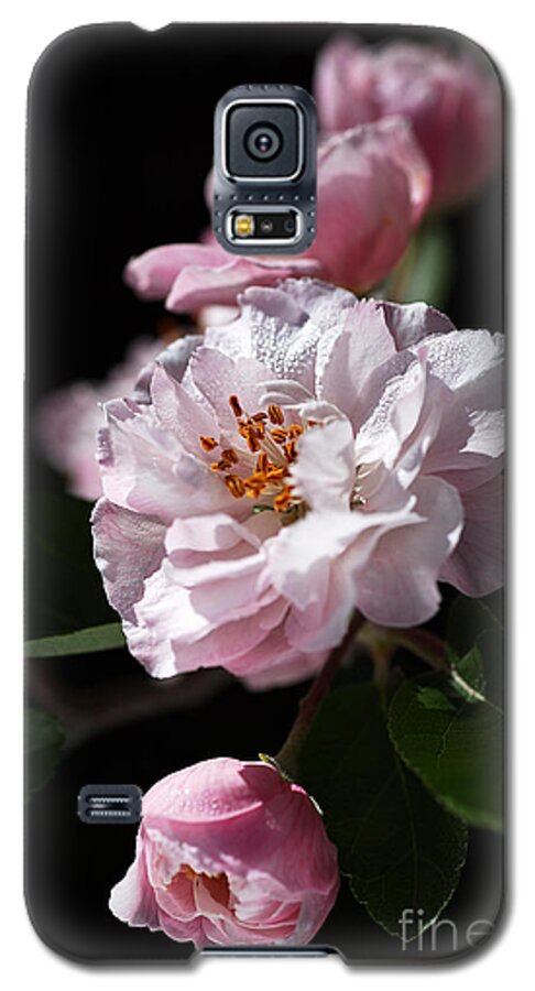 Bubbleblue Galaxy S5 Case featuring the photograph Crabapple Flowers by Joy Watson