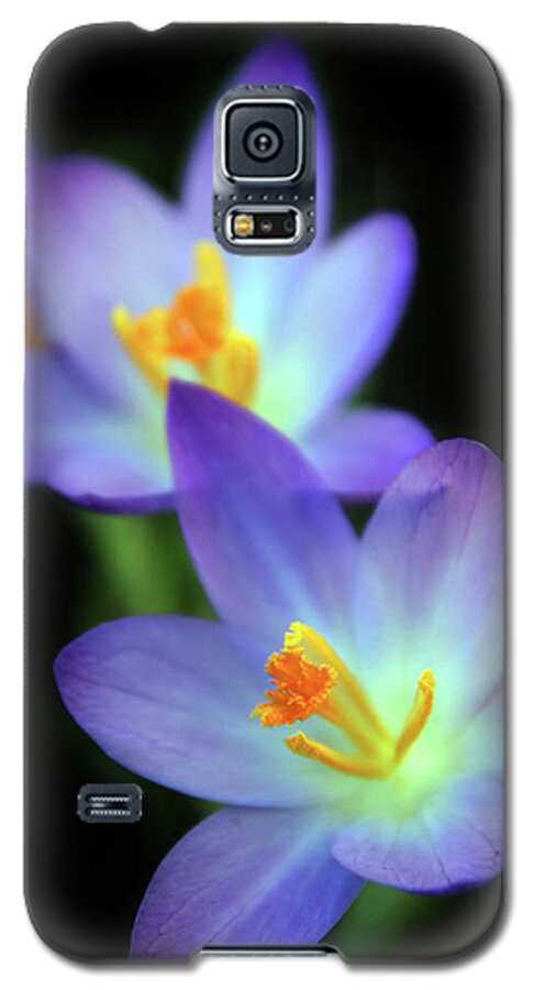 Crocus Galaxy S5 Case featuring the photograph Crocus in Bloom by Jessica Jenney