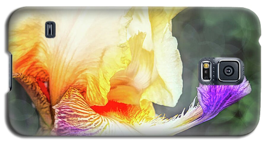 Iris Galaxy S5 Case featuring the digital art Delicate Iris by Amy Dundon