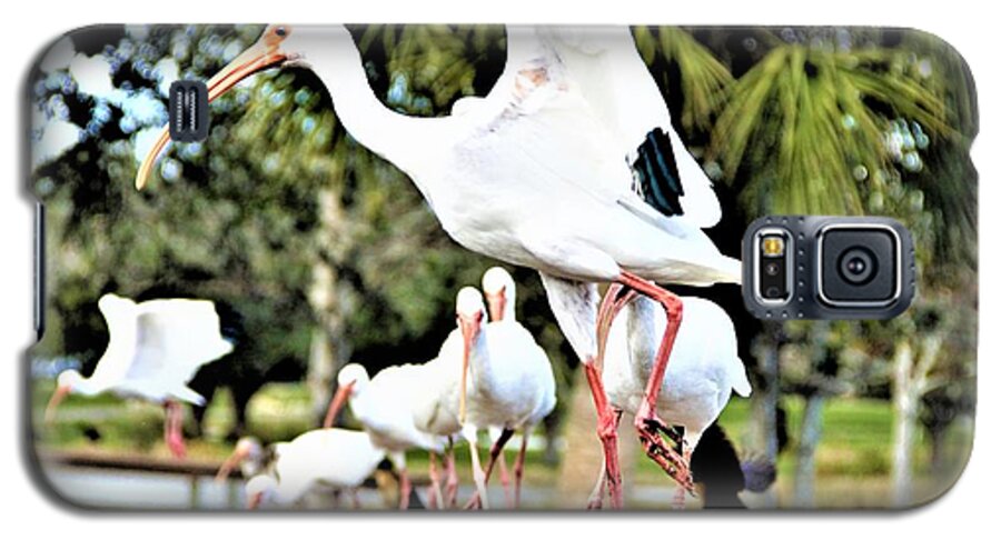 Everybody Jump Galaxy S5 Case featuring the photograph Everybody Jump by Philip And Robbie Bracco