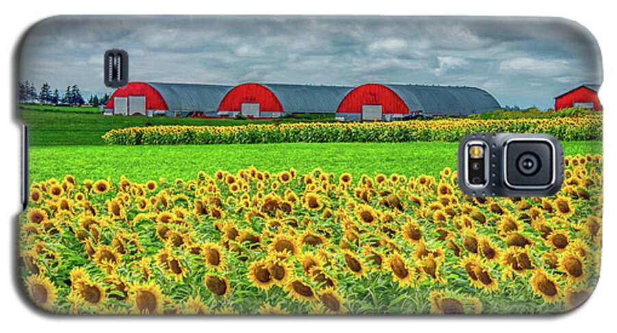 Pei Galaxy S5 Case featuring the photograph Fields of Happiness by Marcy Wielfaert