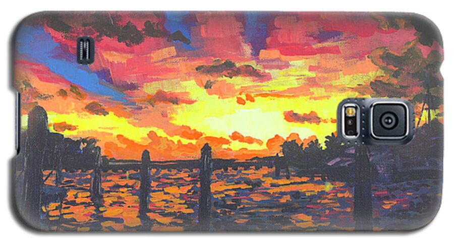 Sunset Galaxy S5 Case featuring the painting Florida Sunset by Allison Fox