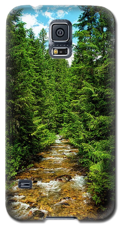 Stream Galaxy S5 Case featuring the photograph Flowing Stream by Pamela Dunn-Parrish