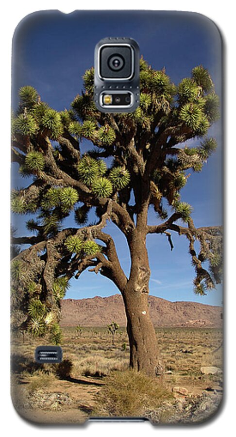Giant Joshua Galaxy S5 Case featuring the photograph Giant Joshua by Glenn McCarthy Art and Photography