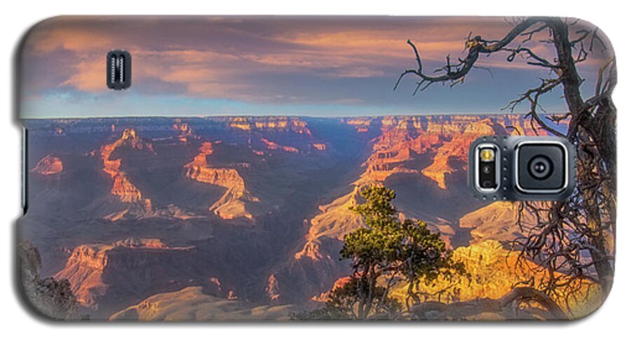 Arizona Galaxy S5 Case featuring the photograph Gnarled juniper on Canyon Rim by Jeff Folger
