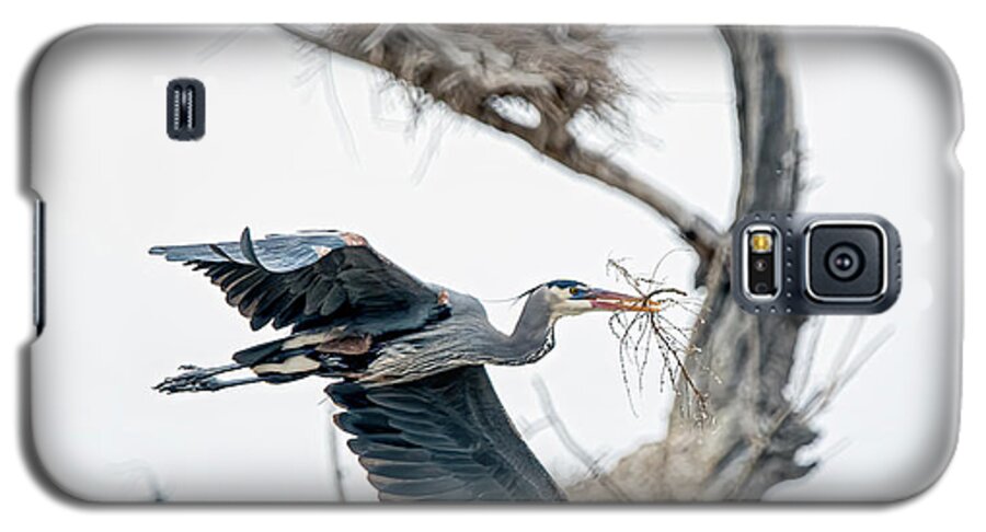 Stillwater Wildlife Refuge Galaxy S5 Case featuring the photograph Great Blue Heron 5 by Rick Mosher