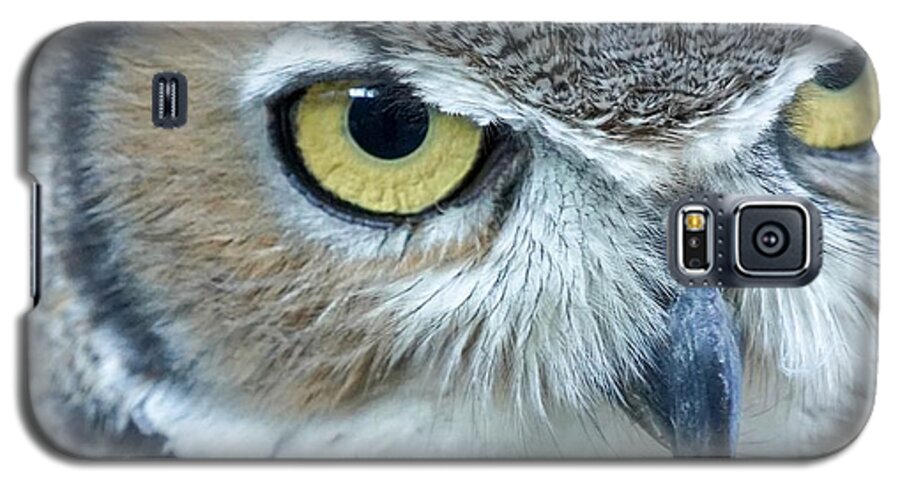 Owl Galaxy S5 Case featuring the photograph Great Horned Owl by Susan Rydberg