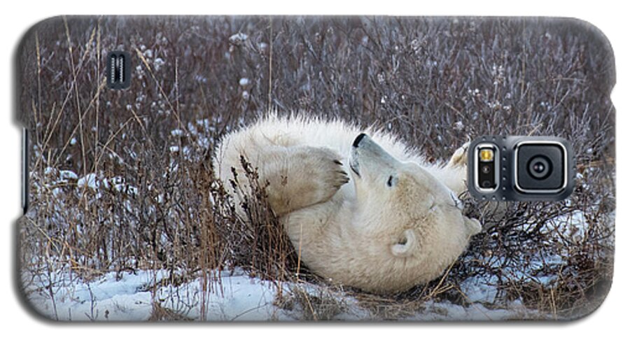 Polar Bear Galaxy S5 Case featuring the photograph Happy Polar Bear by Mark Hunter