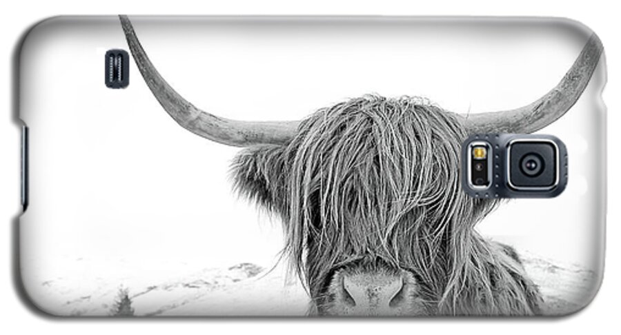 Highland Cow Galaxy S5 Case featuring the photograph Highland Cow mono by Grant Glendinning