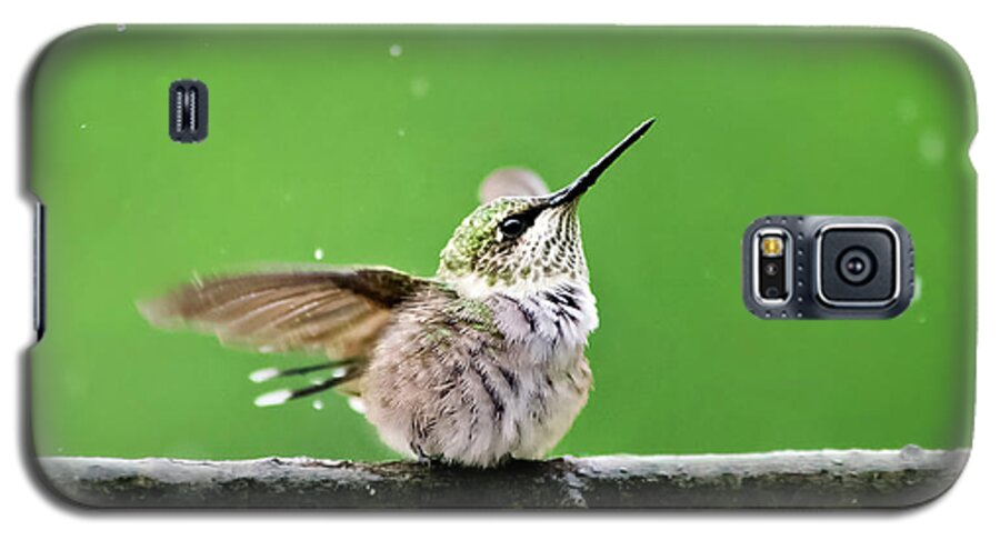 Hummingbird Galaxy S5 Case featuring the photograph Hummingbird In The Rain by Christina Rollo