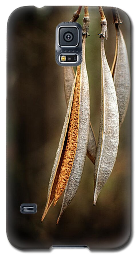 Forest Galaxy S5 Case featuring the photograph Just Hanging by Karen Harrison Brown