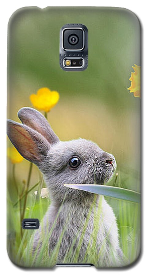 Bunny Rabbit Galaxy S5 Case featuring the mixed media Little Bunny at Easter by Morag Bates