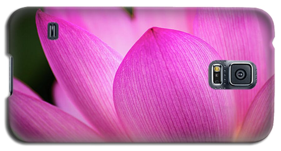 Kenilworth Gardens Galaxy S5 Case featuring the photograph Lotus petal by Robert Miller