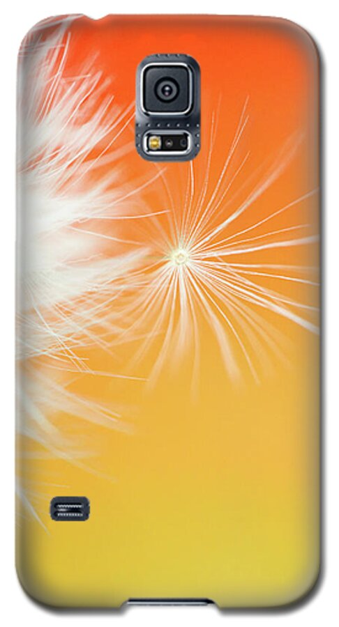 Ideas Galaxy S5 Case featuring the photograph Make a Wish - on Orange and Yellow by Anita Nicholson