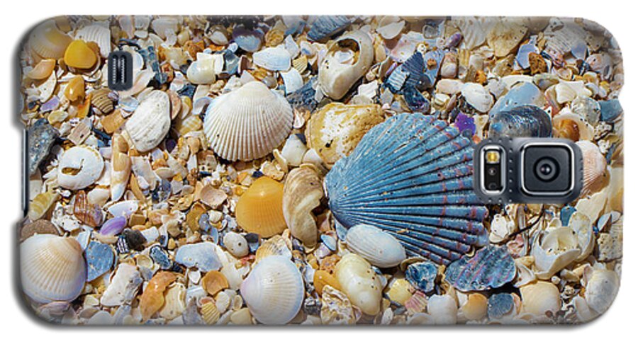 Shell Galaxy S5 Case featuring the photograph Ocean Shell Treasures by Blair Damson