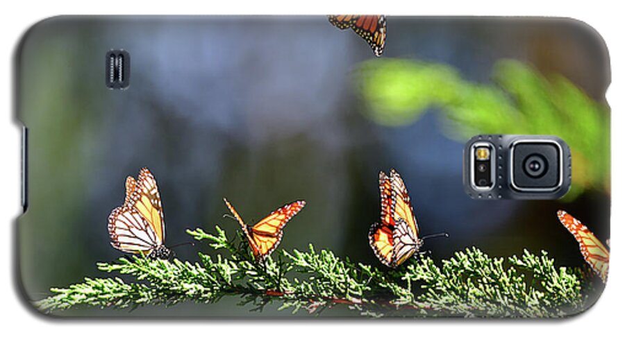 Monarch Galaxy S5 Case featuring the photograph Monarch Butterfly by Amazing Action Photo Video