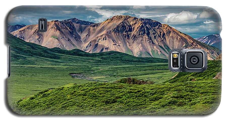 Denali National Park Galaxy S5 Case featuring the photograph Naturally Denali by Marcy Wielfaert