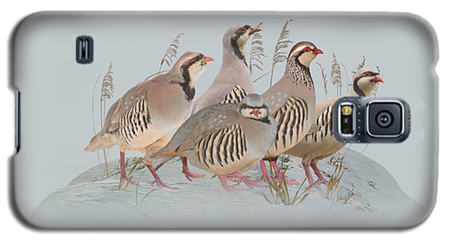 Birds Galaxy S5 Case featuring the digital art Partidge Covey by M Spadecaller