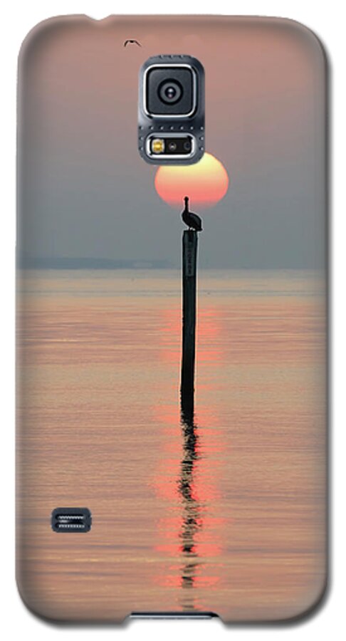 Sunrise Galaxy S5 Case featuring the photograph Pelican Sunrise by JASawyer Imaging