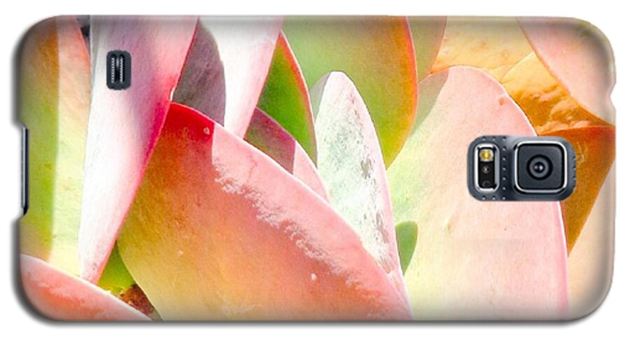 Pretty Galaxy S5 Case featuring the photograph Pretty Pink Petals by VIVA Anderson