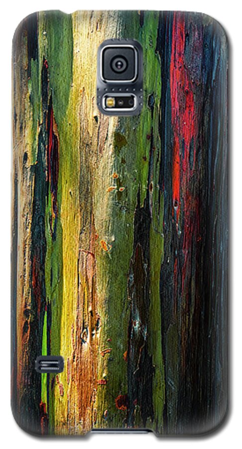 Rainbow Galaxy S5 Case featuring the photograph Rainbow Grove by Ryan Manuel