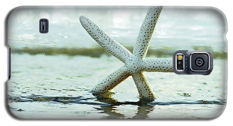 Beach Galaxy S5 Case featuring the photograph Sea Star by Laura Fasulo