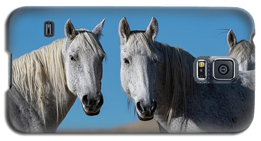 Wild Horses Galaxy S5 Case featuring the photograph Sisters in Life by Mary Hone