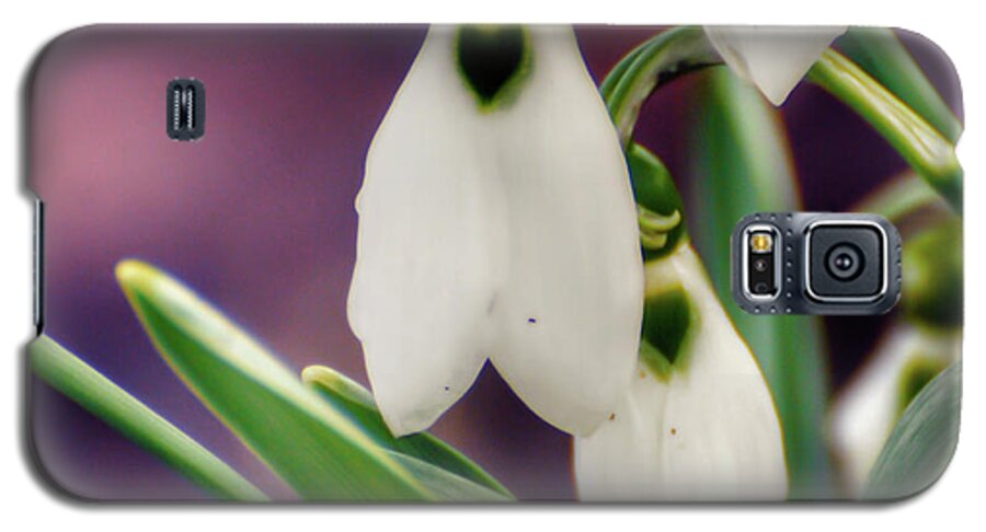 Snowdrops Galaxy S5 Case featuring the photograph Snowdrops by Kerri Farley
