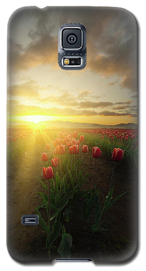 Tulips Galaxy S5 Case featuring the photograph Spring Awakening by Ryan Manuel
