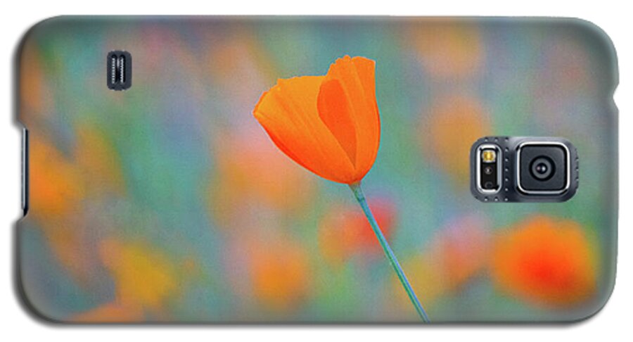 Sierra Nevada Galaxy S5 Case featuring the photograph Spring Poppy by Anthony Michael Bonafede