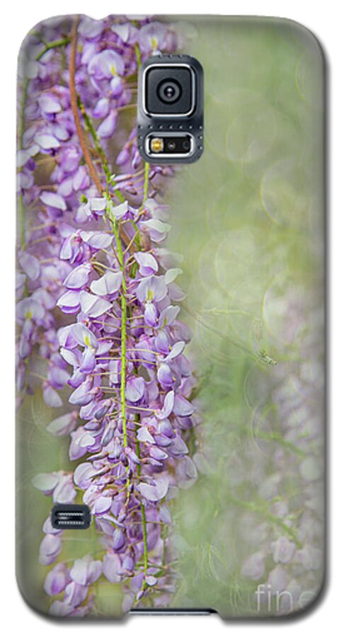 Sunnylea Galaxy S5 Case featuring the photograph Spring Waltz of the Wisteria by Marilyn Cornwell