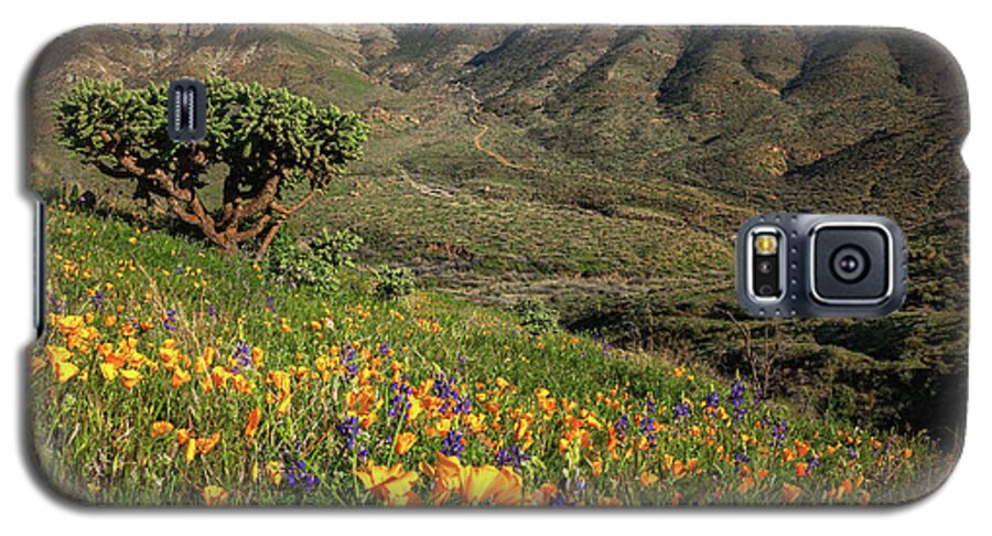 Arizona Galaxy S5 Case featuring the photograph Springtime in the Desert Southwest by Rick Furmanek