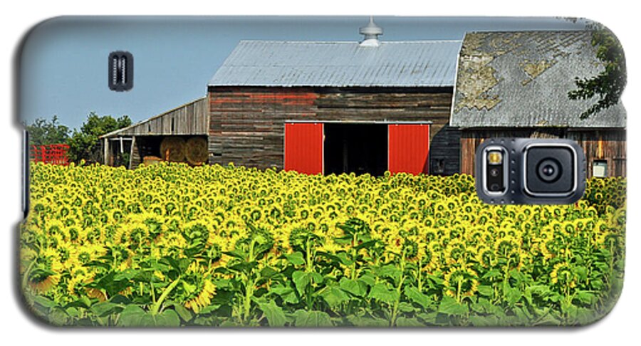 Field Galaxy S5 Case featuring the photograph Sunflower Farm by Rodney Campbell