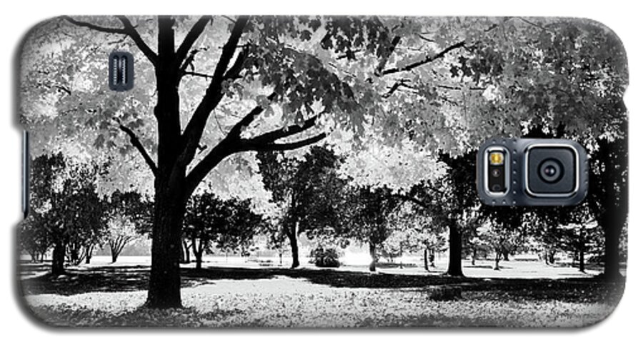 Park Galaxy S5 Case featuring the photograph Sunny October by Susie Loechler