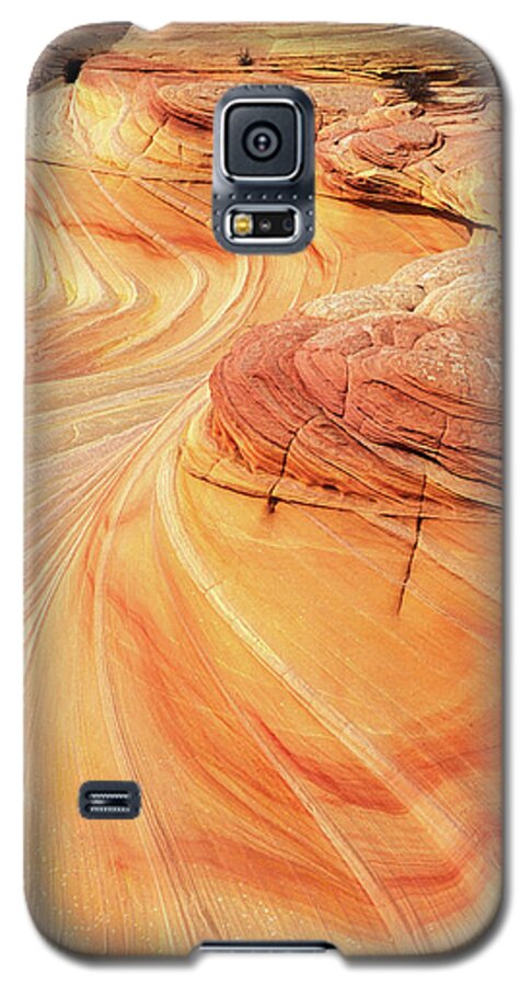 The Wave Galaxy S5 Case featuring the photograph Swirls and patterns of sandstone fins in Coyote Butte, Arizona, USA by Neale And Judith Clark