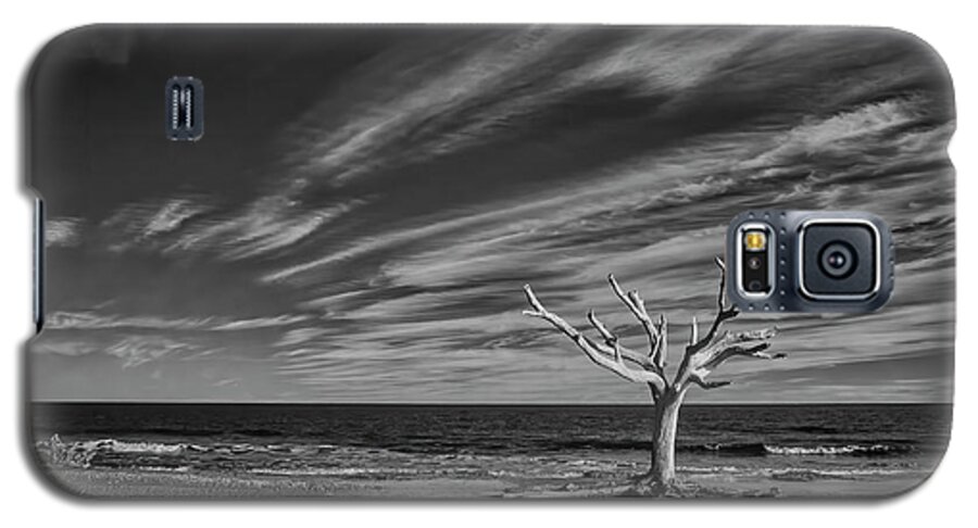 Boneyard Beach Galaxy S5 Case featuring the photograph The Enduring Tree by Jurgen Lorenzen