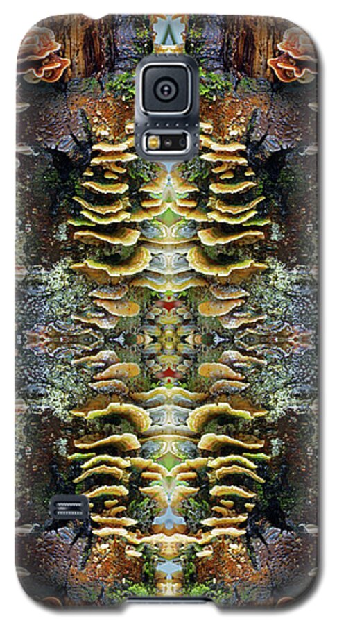 Nature Galaxy S5 Case featuring the photograph Tree Full of Life Double Mirrored Vertical 4x6 by Ben Upham III