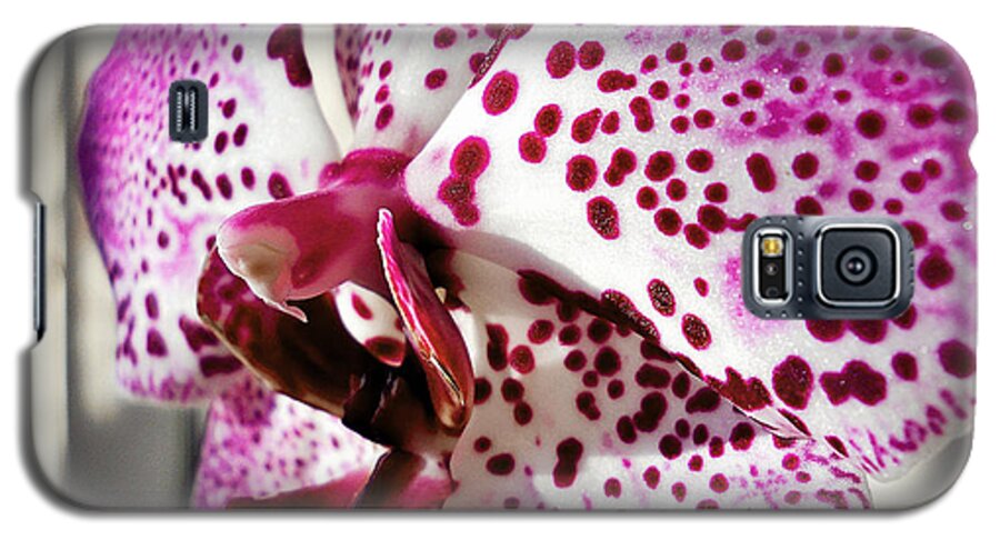 Orchid Galaxy S5 Case featuring the photograph Violet beauty by Ramona Matei