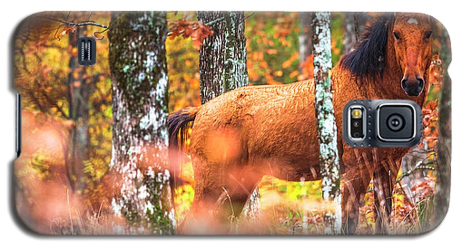 Animals Galaxy S5 Case featuring the photograph Wild by Evgeni Dinev