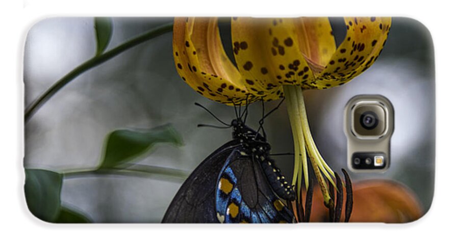 Appalachian Galaxy S6 Case featuring the photograph Swallowtail On Turks Cap #1 by Donald Brown