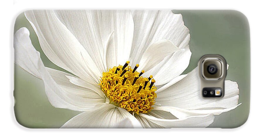Photography Galaxy S6 Case featuring the photograph Cosmos Flower in White by Kaye Menner