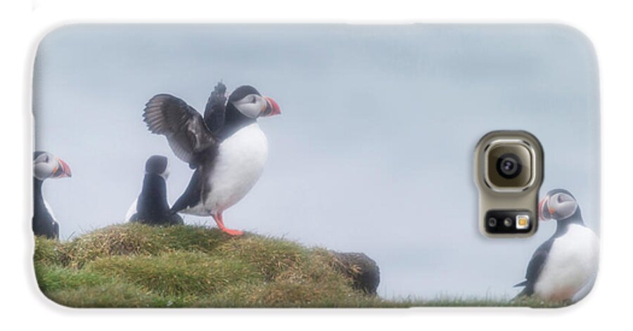 Photography Galaxy S6 Case featuring the photograph Atlantic Puffins Fratercula Arctica by Panoramic Images