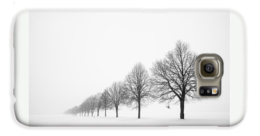 Trees Galaxy S6 Case featuring the photograph Avenue with row of trees in winter by Matthias Hauser